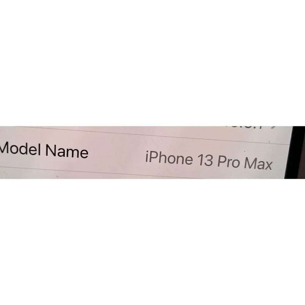 iPhone 13 Pro Max Black Phone Case